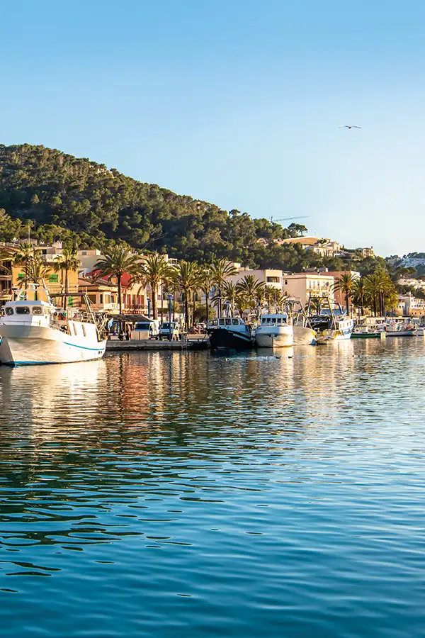 BLUE  ELEMENTS Port Andratx